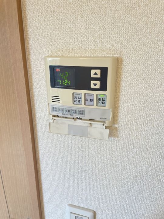 ディモルフォセカ A棟の内装