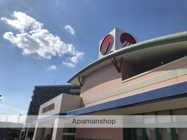 エフシリーズ日ノ出町 A棟103の周辺
