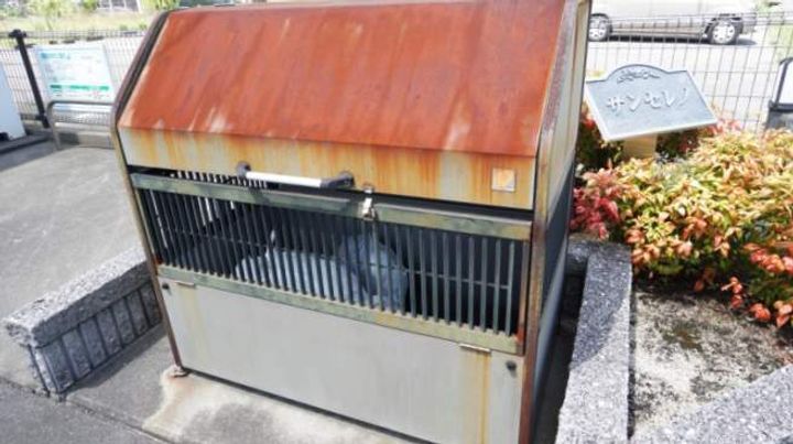 サンセレノのその他画像