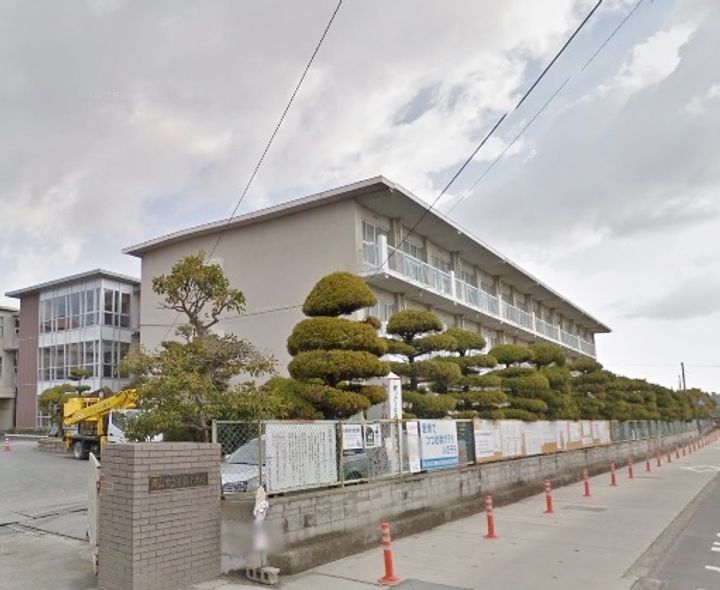 レオネクスト杉の周辺