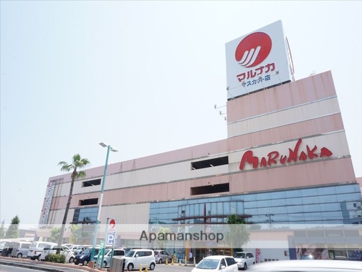 スカイコートマンションⅡの周辺