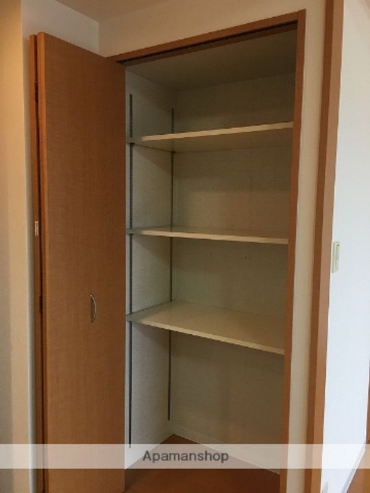 岡山県岡山市北区野田1丁目の賃貸マンションの内装