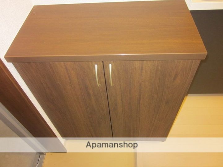 岡山県岡山市北区柳町2丁目の賃貸マンションの玄関