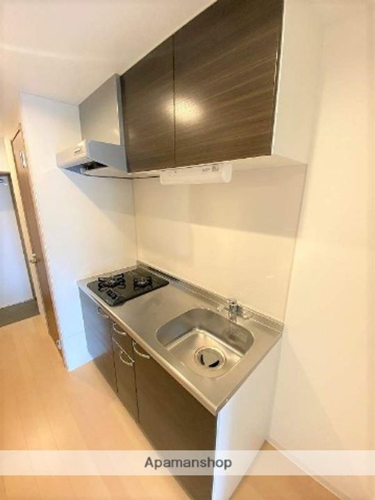 岡山県岡山市北区奉還町4丁目の賃貸マンション501のキッチン