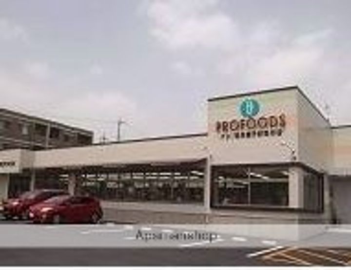 岡山県岡山市北区西古松の賃貸マンションの周辺