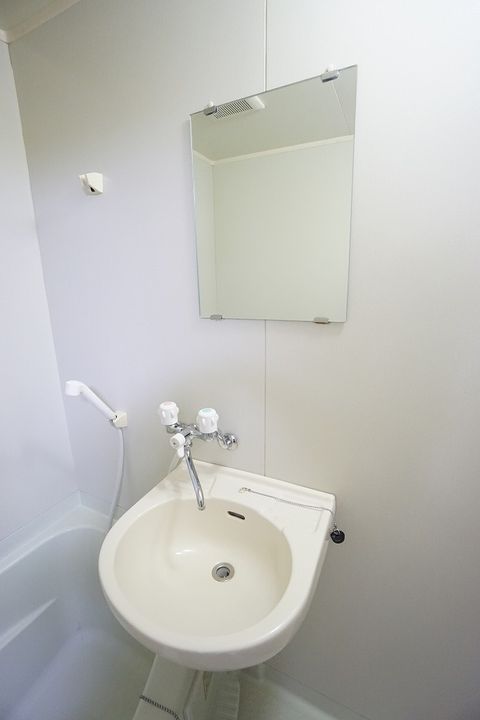 ブルーベルのその他画像