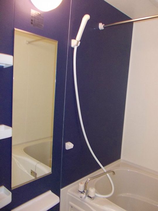 エルフトゥーロCの風呂