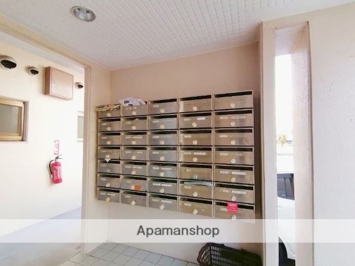 サンライズブルーのその他画像