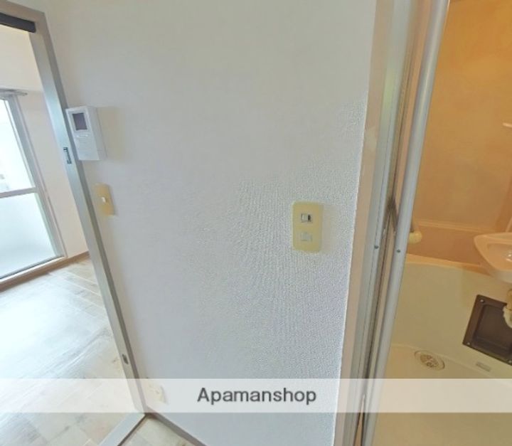 広島県広島市中区南竹屋町の賃貸マンションの内装