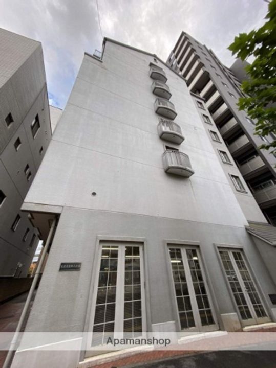 ハイネス横川の外観