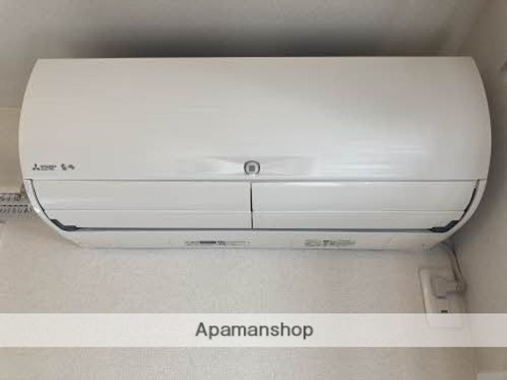 エンソラードのその他画像