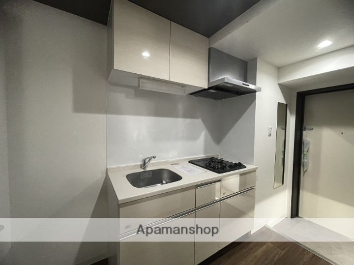 RUEX比治山橋のキッチン