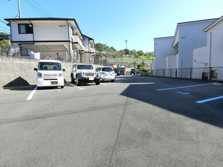 チャイブのその他画像