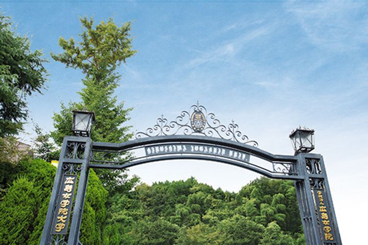 サンヒルズ戸坂壱番館202号室の周辺