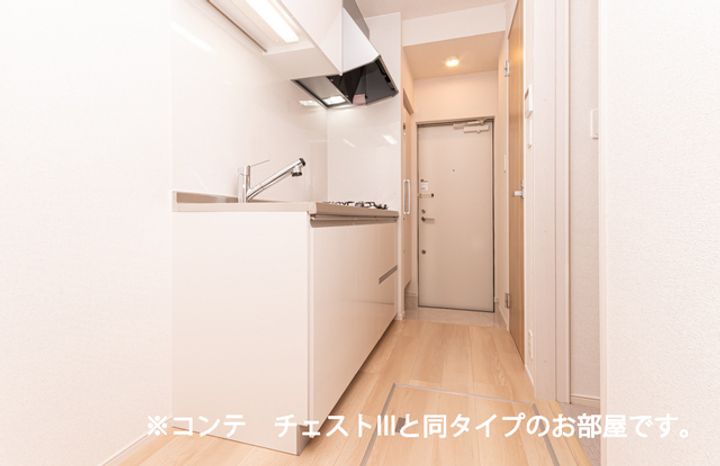 パラジソ大町102のキッチン