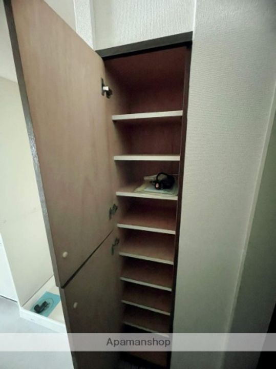 広島県広島市中区大手町3丁目の賃貸マンションの内装