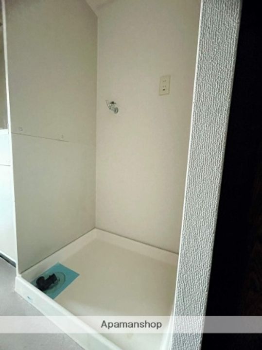 広島県広島市中区大手町3丁目の賃貸マンションの内装