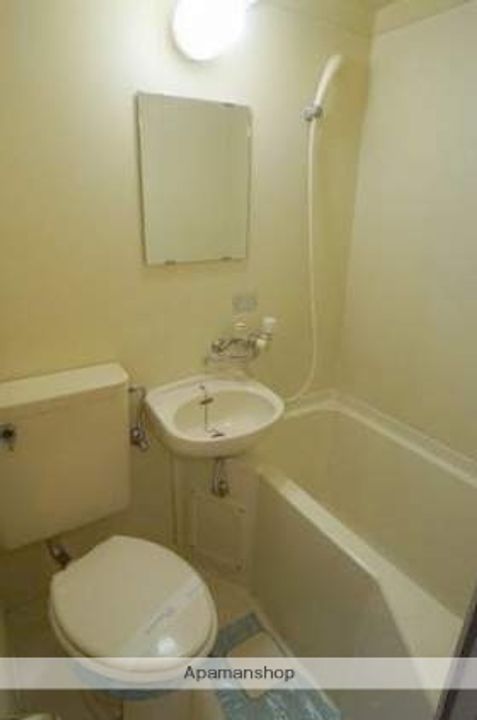 広島県広島市西区大芝2丁目の賃貸マンションの風呂