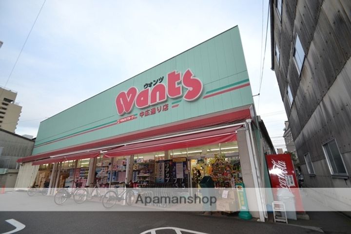 広島県広島市西区横川新町の賃貸マンションの周辺