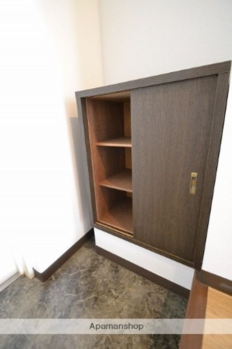 広島県広島市南区出島1丁目の賃貸マンションの内装