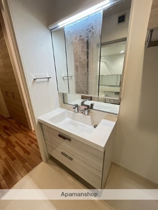 広島県広島市安佐南区西原9丁目の賃貸マンションの内装