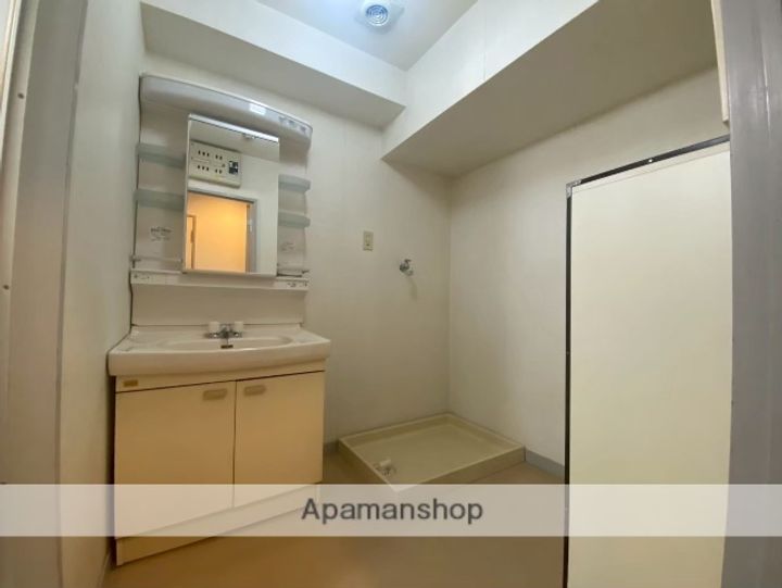 グリーン金剛マンションのその他画像