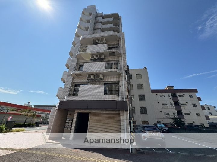 グリーン金剛マンションの外観