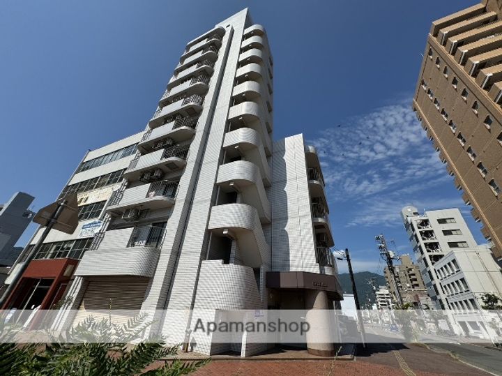 グリーン金剛マンションの外観