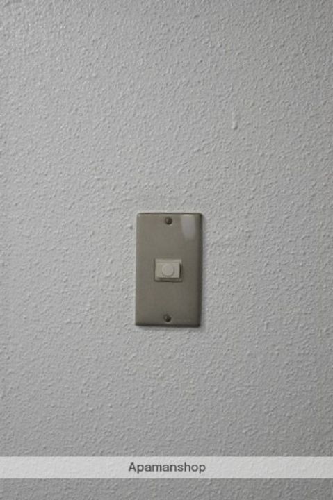 広島県広島市西区三篠町1丁目の賃貸マンションの内装