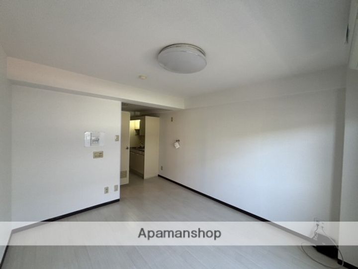 広島県広島市安佐南区祇園6丁目の賃貸マンションの内装