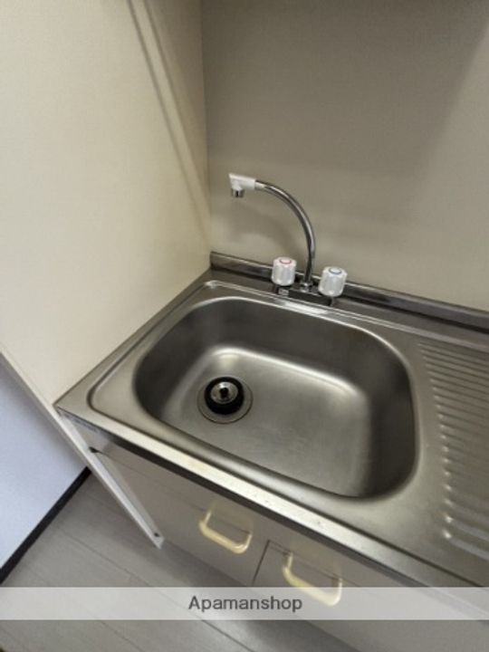 広島県広島市安佐南区祇園6丁目の賃貸マンションの内装