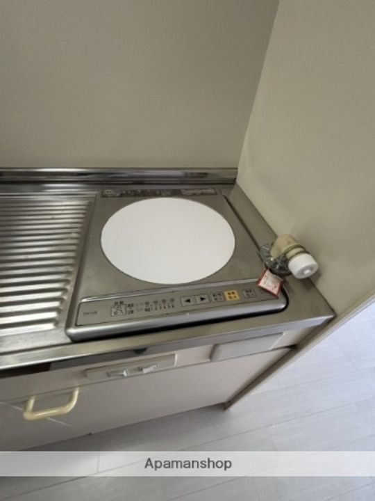 広島県広島市安佐南区祇園6丁目の賃貸マンションの内装