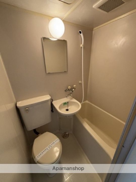 広島県広島市安佐南区祇園6丁目の賃貸マンションの内装