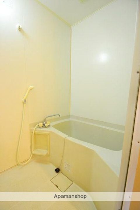 広島県広島市西区西観音町の賃貸マンションの風呂