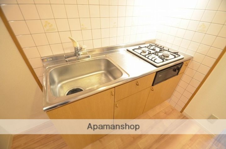 広島県広島市安佐南区西原2丁目の賃貸マンションの内装