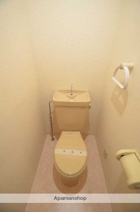 広島県広島市安佐南区西原2丁目の賃貸マンションの内装