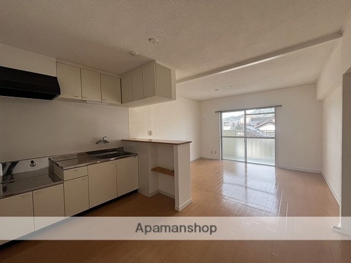 広島県広島市安佐南区八木9丁目の賃貸マンションの内装