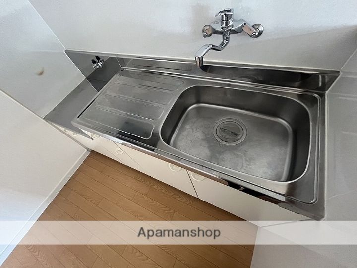 広島県広島市安佐南区八木9丁目の賃貸マンションの内装