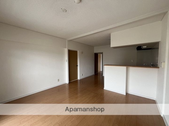 広島県広島市安佐南区八木9丁目の賃貸マンションの内装