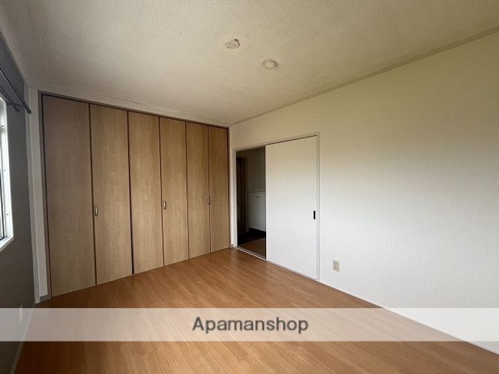 広島県広島市安佐南区八木9丁目の賃貸マンションの内装