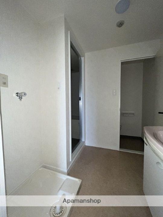広島県広島市安佐南区八木9丁目の賃貸マンションの内装