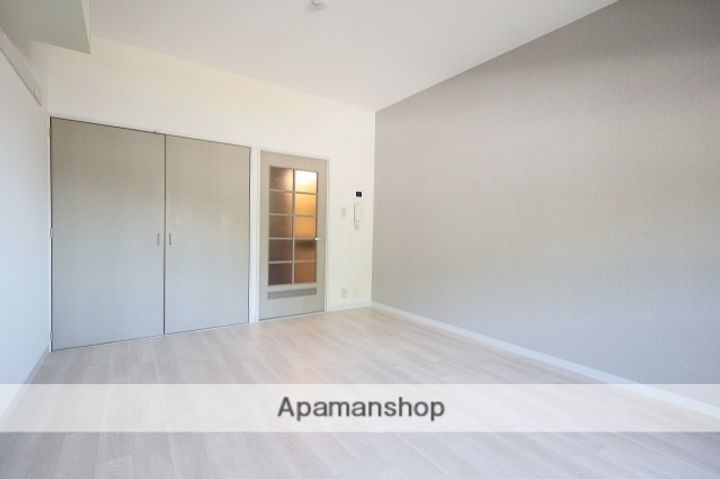 広島県広島市安芸区中野2丁目の賃貸マンションの内装