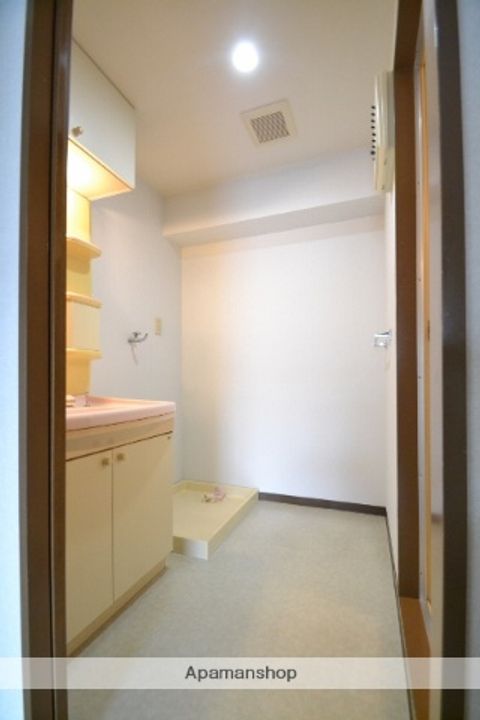 広島県広島市安佐南区西原2丁目の賃貸マンションの内装