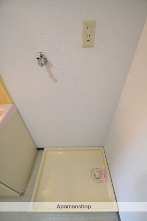 広島県広島市安佐南区西原2丁目の賃貸マンションの内装