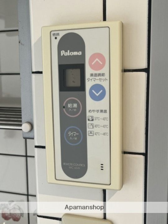 広島県広島市安佐南区大町東2丁目の賃貸マンションの内装