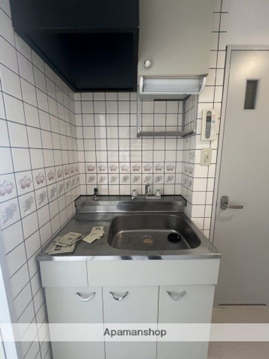 広島県広島市安佐南区大町東2丁目の賃貸マンションのキッチン