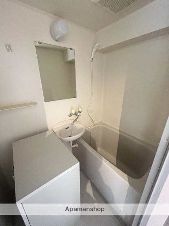 広島県広島市安佐南区大町東2丁目の賃貸マンションの風呂