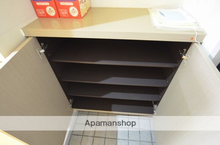 広島県広島市安佐南区八木3丁目の賃貸マンションの内装