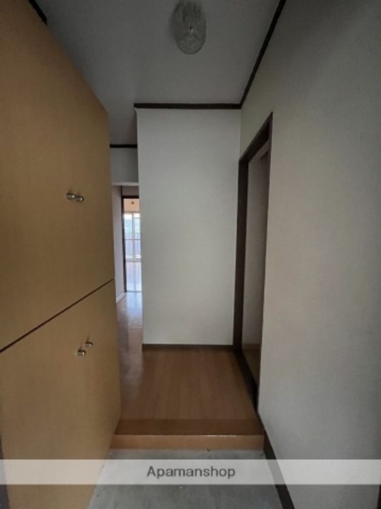 広島県広島市安佐南区八木6丁目の賃貸マンションの内装