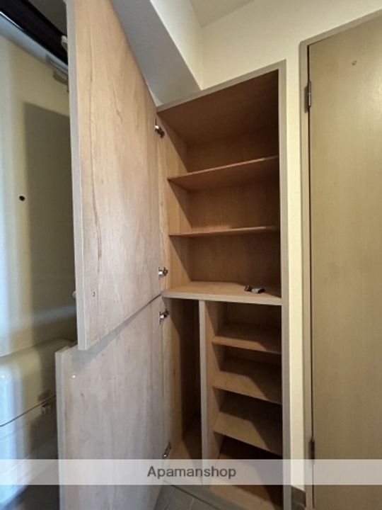 広島県広島市西区都町の賃貸マンションの内装